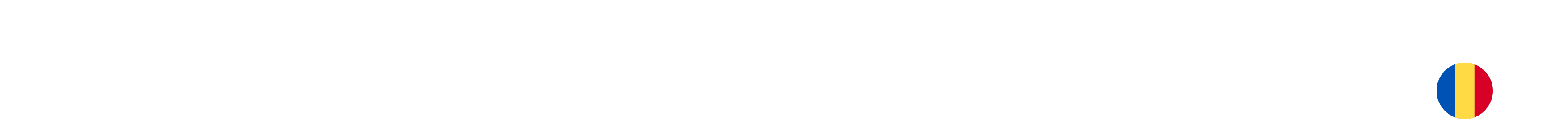 Danube Properties România